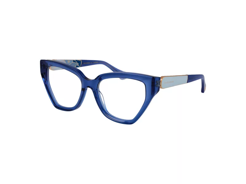 Ana Hickmann Briller AH 6597 T01