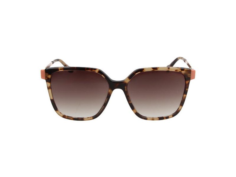 Ana Hickmann Solbriller AH 9330 G21