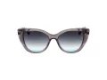 Ana Hickmann Solbriller AH 9419 T01
