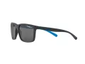 Arnette Stripe Solbriller AN 4251 256281
