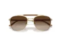 Giorgio Armani Solbriller AR 6149 300213