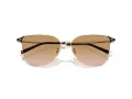 Giorgio Armani Solbriller AR 6155 301313