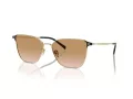 Giorgio Armani Solbriller AR 6155 301313