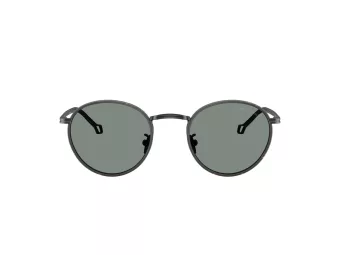 Giorgio Armani Solbriller AR 6163J 300111