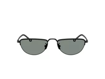 Giorgio Armani Solbriller AR 6166J 300111