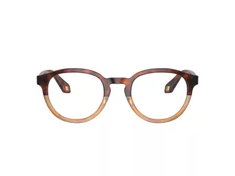Giorgio Armani Briller 7248 6034