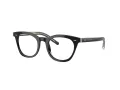 Giorgio Armani Briller AR 7251 5875
