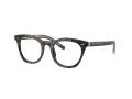 Giorgio Armani Briller AR 7251 5879