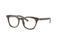 Giorgio Armani Briller AR 7251 6040