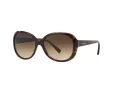 Giorgio Armani Solbriller AR 8047 502613
