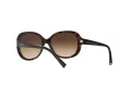 Giorgio Armani Solbriller AR 8047 502613