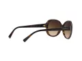 Giorgio Armani Solbriller AR 8047 502613