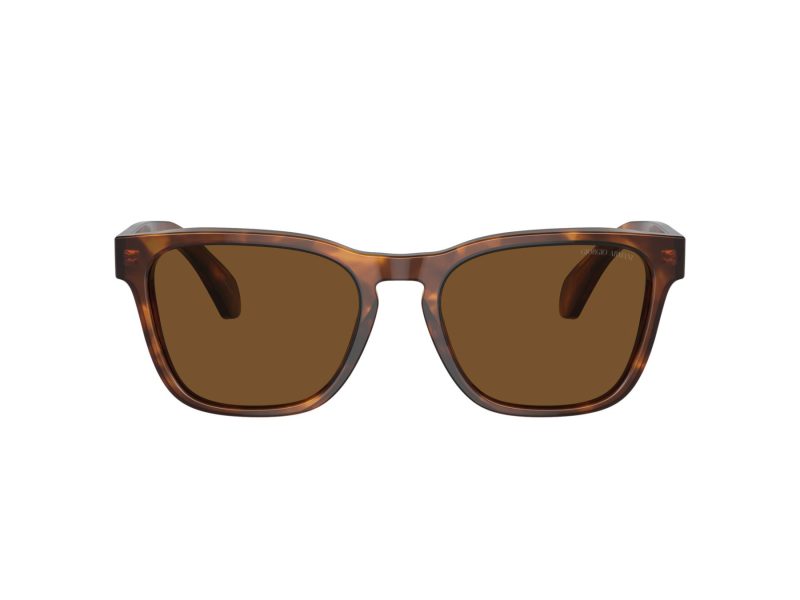 Giorgio Armani Solbriller AR 8155 598857