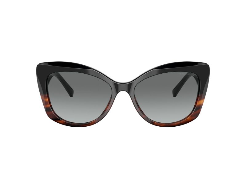 Giorgio Armani Solbriller AR 8161 592811