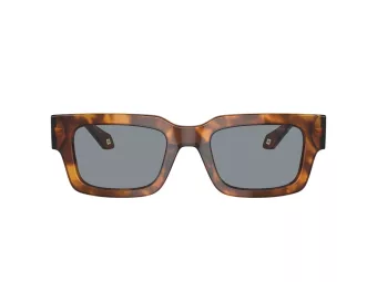 Giorgio Armani Solbriller AR 8184U 598802