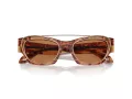 Giorgio Armani Solbriller AR 8185U 59781W