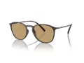 Giorgio Armani Solbriller AR 8186U 508973