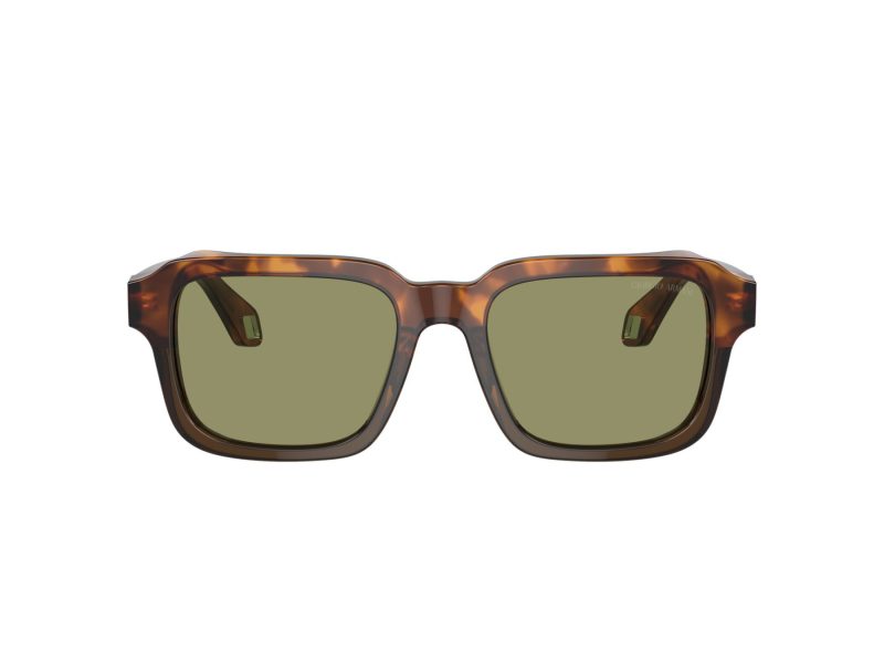Giorgio Armani Solbriller AR 8194U 598814