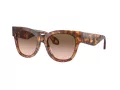 Giorgio Armani Solbriller AR 8195U 603351