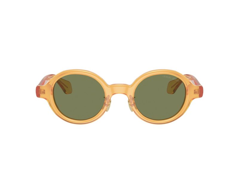 Giorgio Armani Solbriller AR 8205 60632A