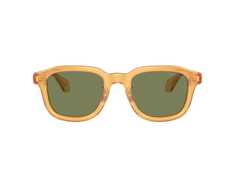 Giorgio Armani Solbriller AR 8206 60632A