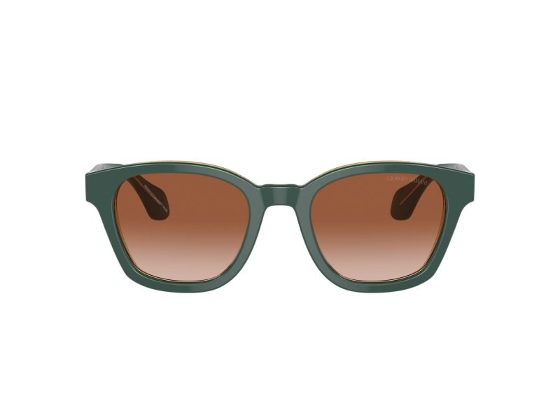 Giorgio Armani Solbriller AR 8207 608613