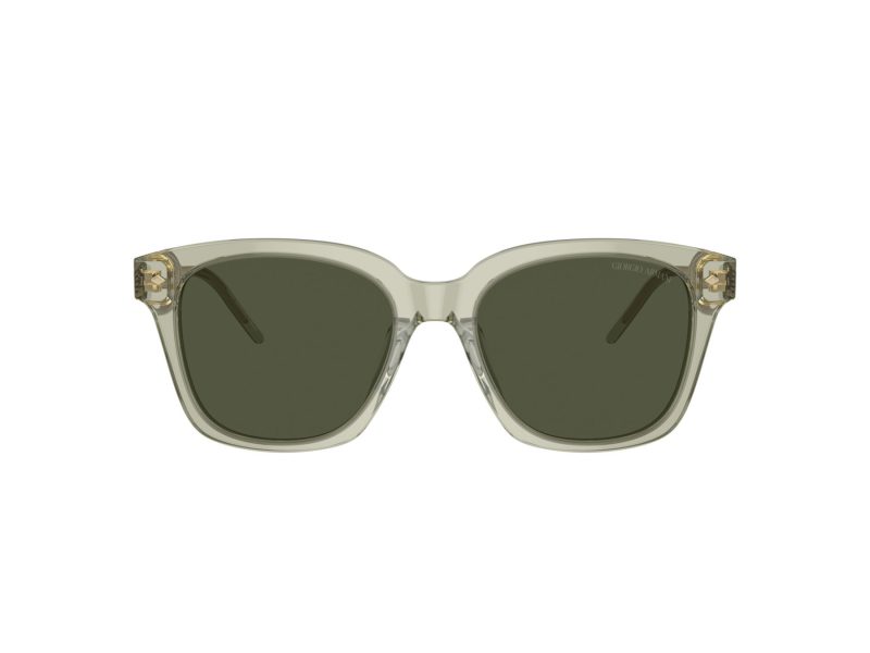 Giorgio Armani Solbriller AR 8210U 608331
