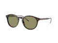 Giorgio Armani Solbriller AR 8211 587914