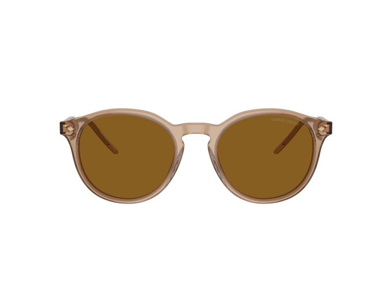 Giorgio Armani Solbriller AR 8211 607233