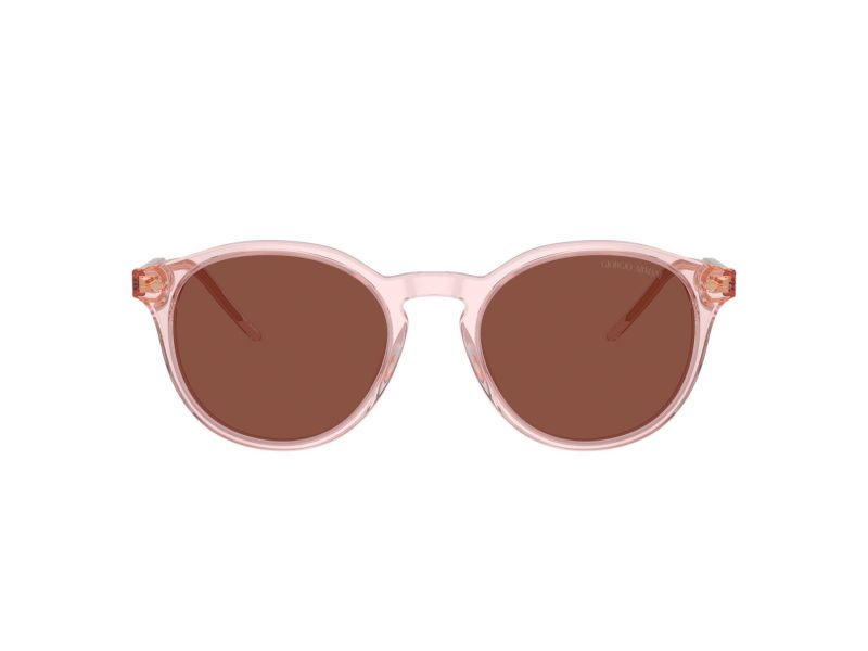 Giorgio Armani Solbriller AR 8211 6073C5