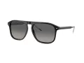 Giorgio Armani Solbriller AR 8212 587571