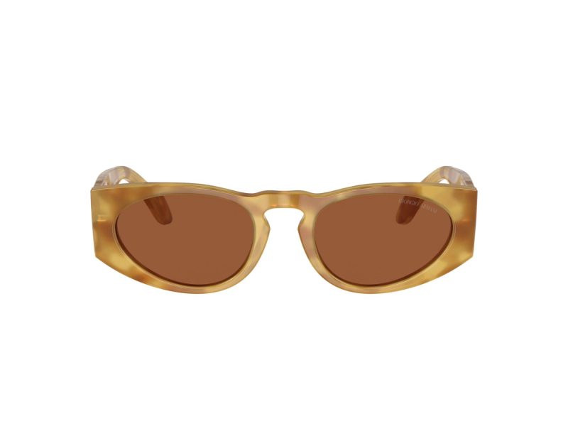 Giorgio Armani Solbriller AR 8216 597973