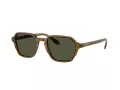 Giorgio Armani Solbriller AR 8220 617231