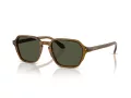 Giorgio Armani Solbriller AR 8220 617231