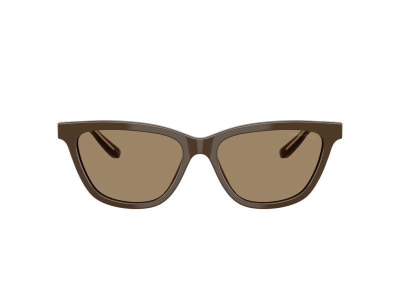 Giorgio Armani Solbriller AR 8221 595753