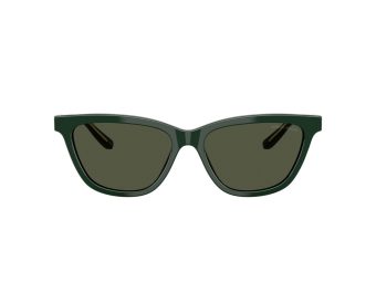 Giorgio Armani Solbriller AR 8221 617331 Giorgio Armani Solbriller AR 8221 617331
