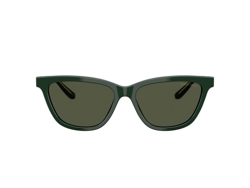 Giorgio Armani Solbriller AR 8221 617331