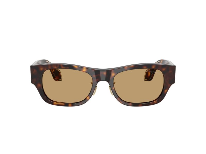 Giorgio Armani Solbriller AR 8224 502673
