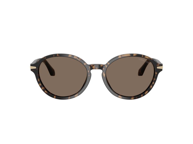 Giorgio Armani Solbriller AR 8237 623573