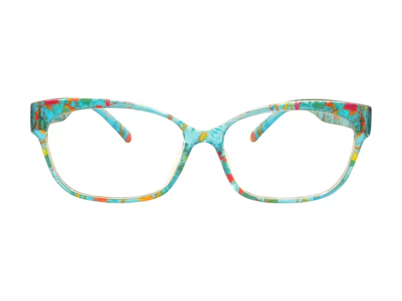 Berkeley Briller BB 2063 C7