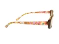 Berkeley Briller BB 5093 C3