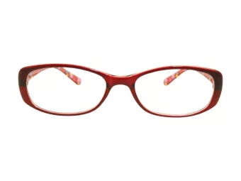 Berkeley Briller BB 5093 C4