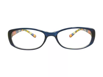Berkeley Briller BB 5093 C5