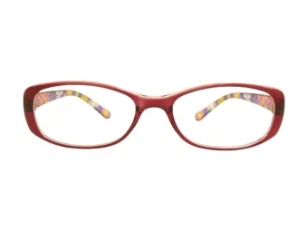 Berkeley Briller BB 5093 C6