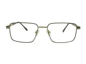 Berkeley Briller BB 56071 C6