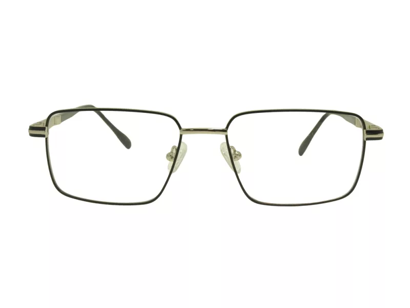 Berkeley Briller BB 56071 C6