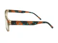 Berkeley Briller BB 5831 C2