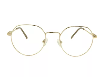 Berkeley Briller BB 705001 C2