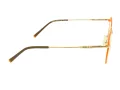 Berkeley Briller BB 705016 C3