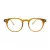 Berkeley Briller BB M144 C3